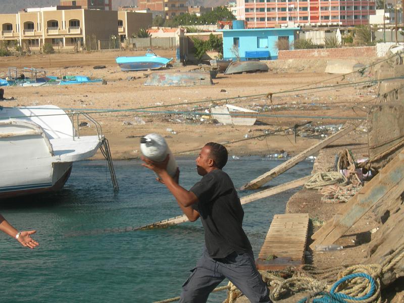 SAFAGA 07  2008 208.jpg